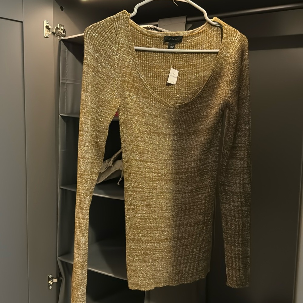 Ann Taylor off the shoulder metallic top size small